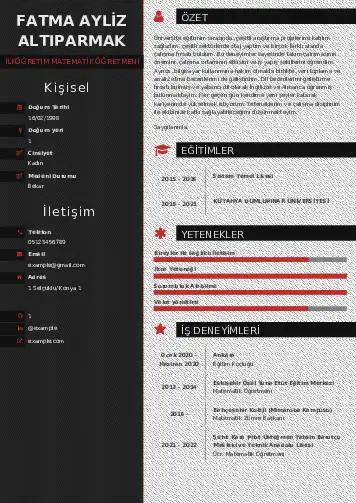 Matematik Öğretmeni Cv Örnekleri cv indir